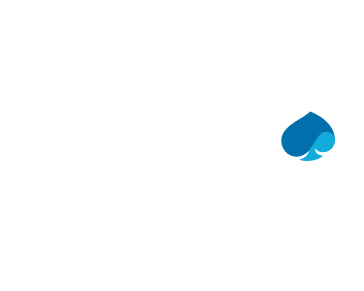 capgemini-wt-logo